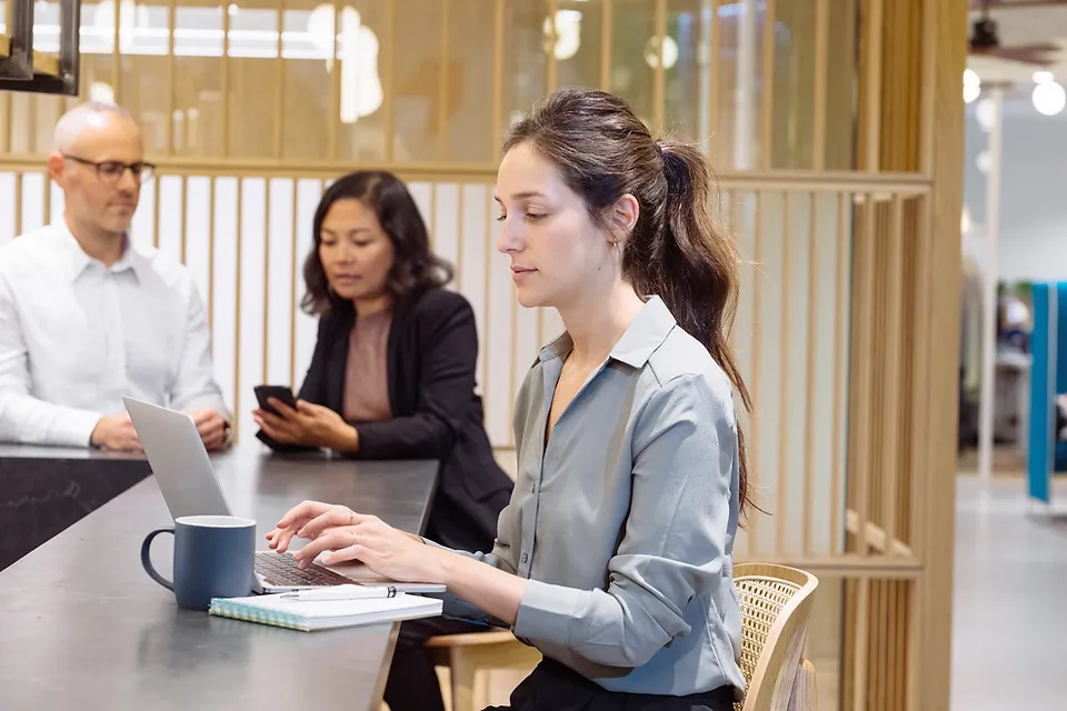 software-date-development-photo-3 software-date-development-photo-3